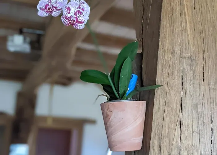 Villa Grande Ferme Basque Proche Montagnes Et Plages